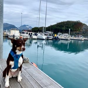 Meet your Posher, Vanessa